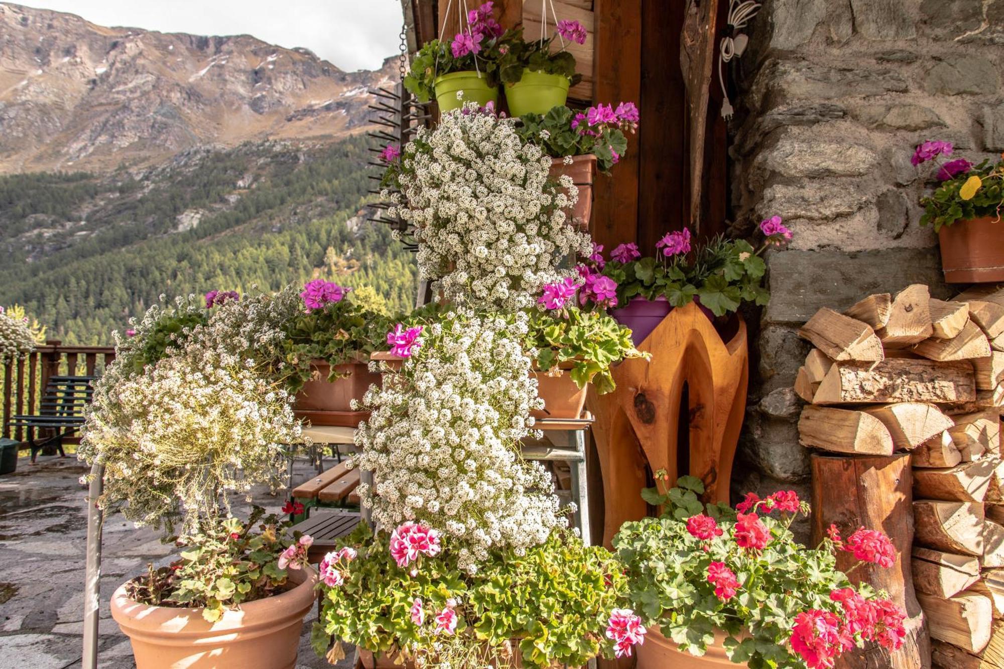 Hotel Hotel&restaurant Perret - Mountain People 2*