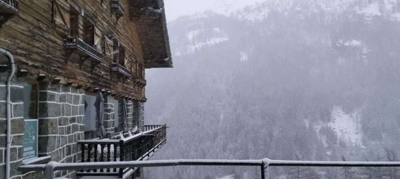 Hotel&restaurant Perret - Mountain People 2* Valgrisenche